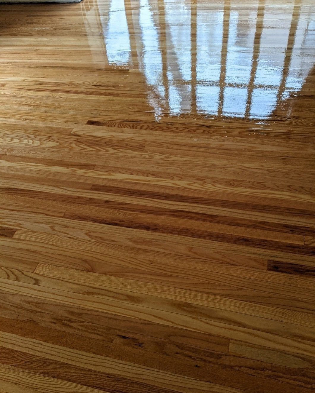 Sunlit room with natural hardwood